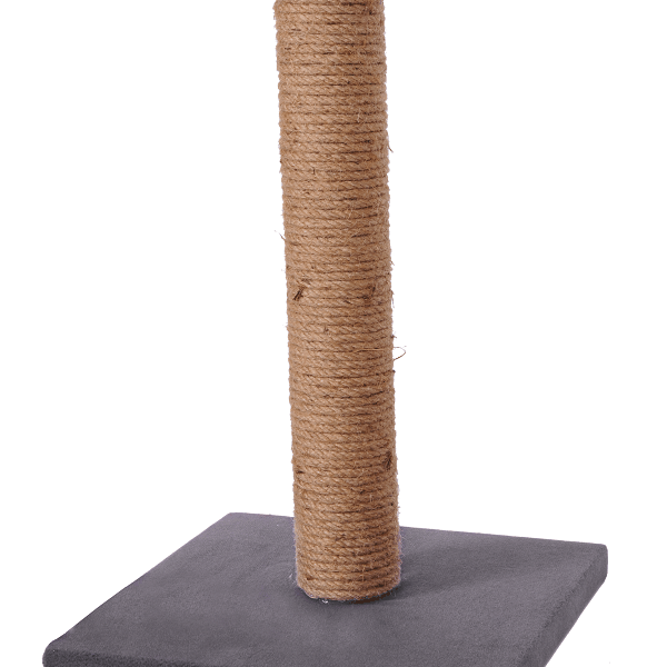 Gërvishtja e macës - Hiri - TKK005