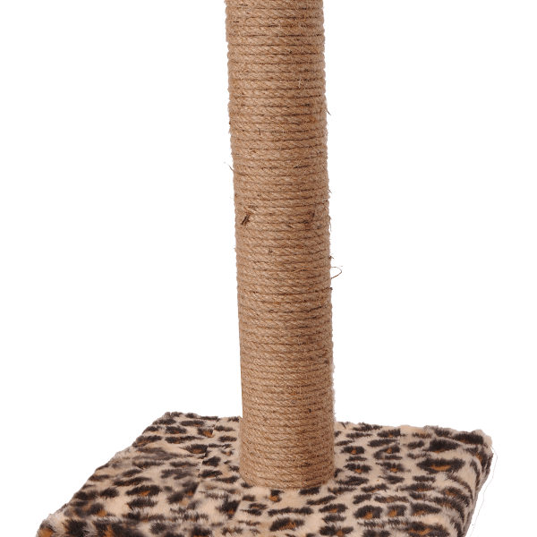 Gërvishtja e macës - Leopard - TKK006