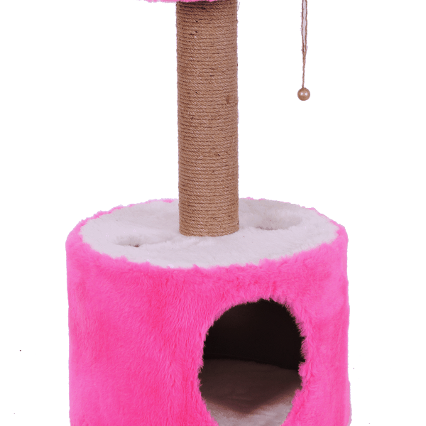 Gërvishtja e macës - Roll Pink - TKR002