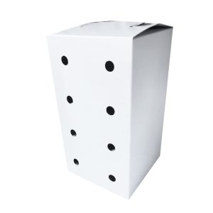 Kuti e madhe e Zogjve - SK051