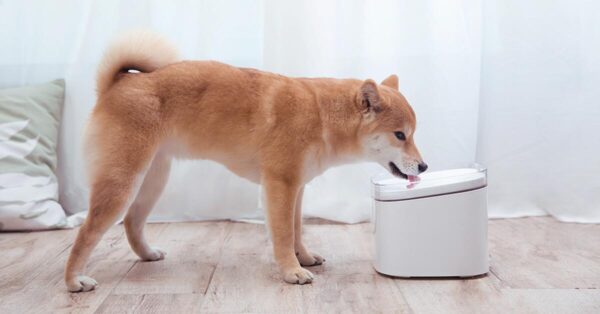 Xiaomi Mi Smart Pet Fountain - Image 3