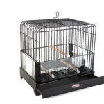 Kafaz për Kanarina (Mergen 1)