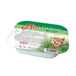 Mio Cat Grass Seed Kit