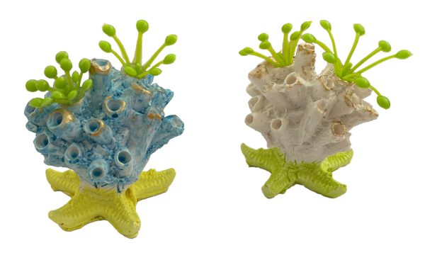 Dekor akuariumi – Anemon