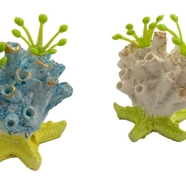 Dekor akuariumi – Anemon