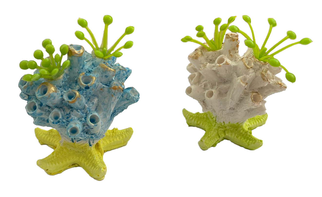 Dekor akuariumi – Anemon