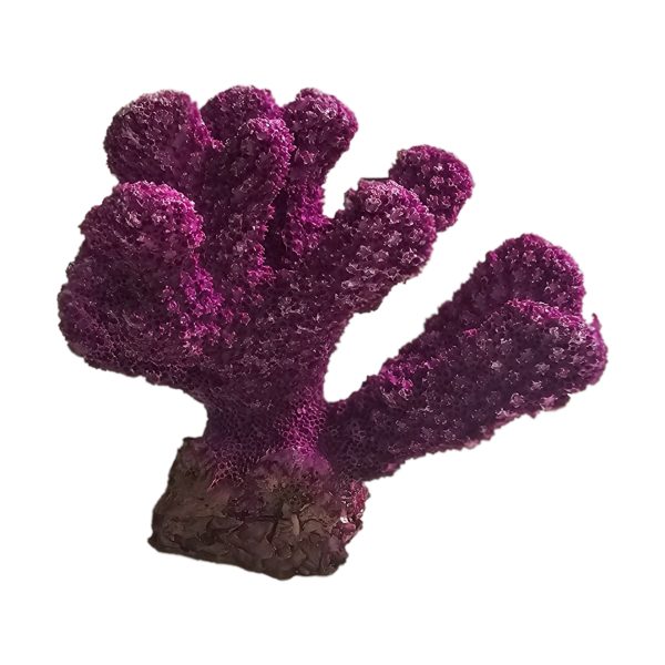 Dekor akuariumi – Koral 5