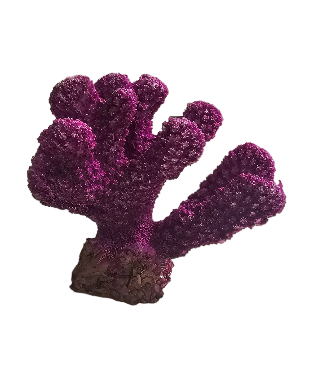 Dekor akuariumi – Koral 5