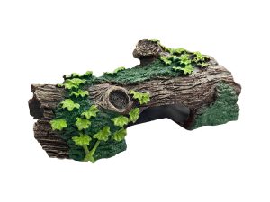 Dekor akuariumi – Trung druri