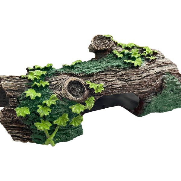 Dekor akuariumi – Trung druri