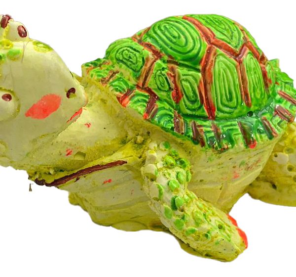 Dekor akuariumi – Breshkë