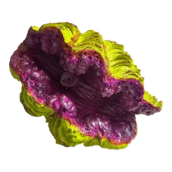 Dekor akuariumi – Gocë deti