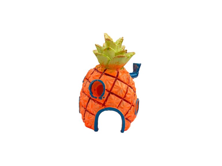 Dekor akuariumi – Sfungjer Bob
