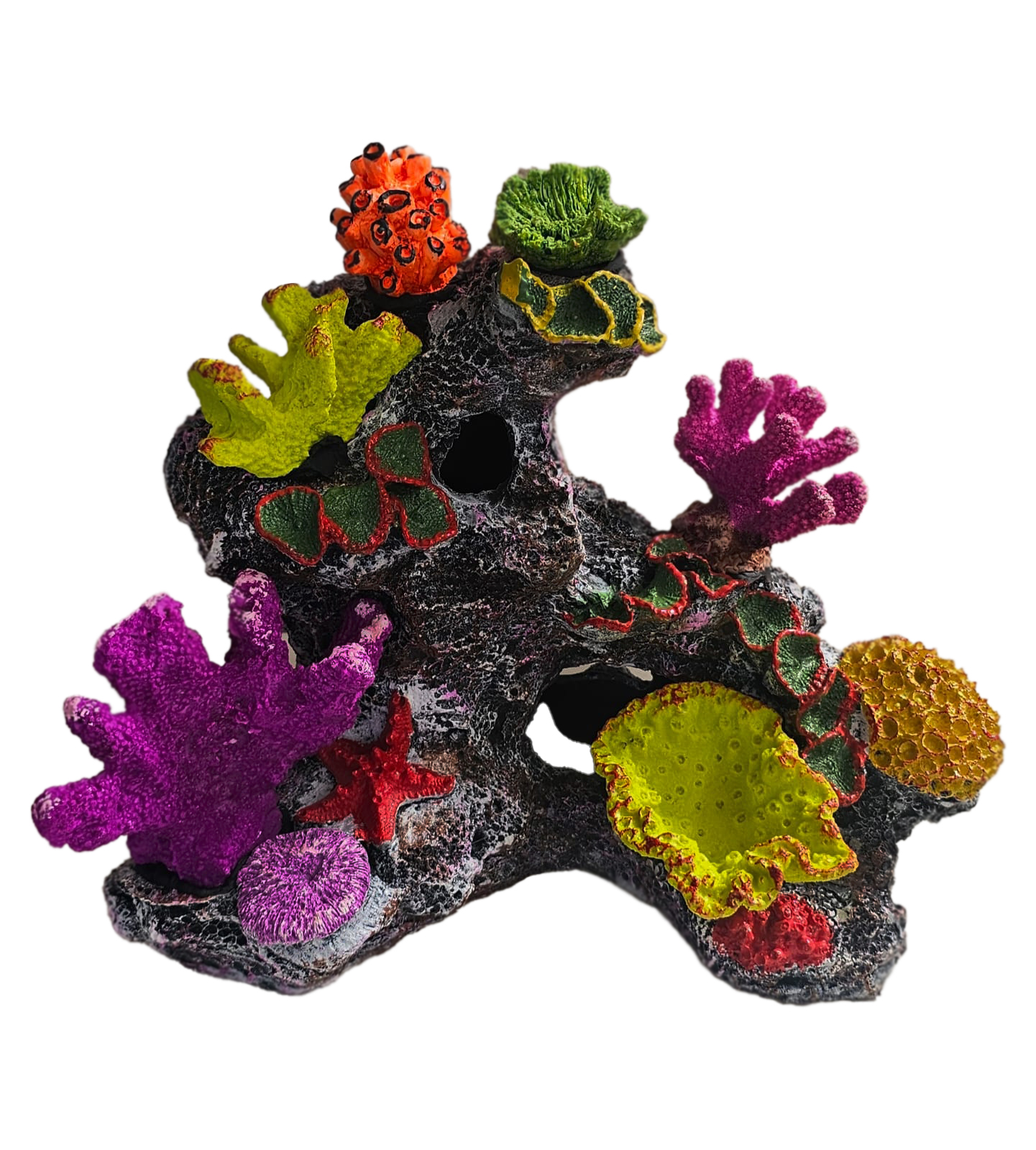 Dekor akuariumi – Shkëmb me korale