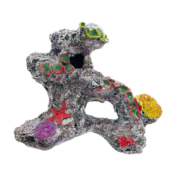 Dekor akuariumi – Shkëmb pa koral