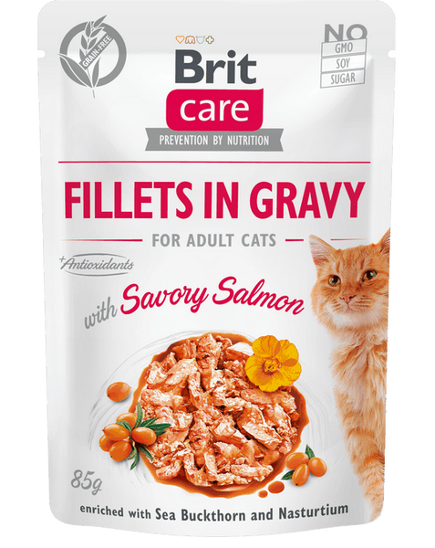 Brit Care Cat Fileta në Salcë me Salmon të Shijshëm 85 g