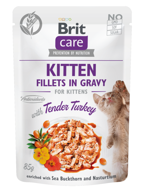 BCC Kittens. Fileta në Salcë me Pulë të Butë 85 g