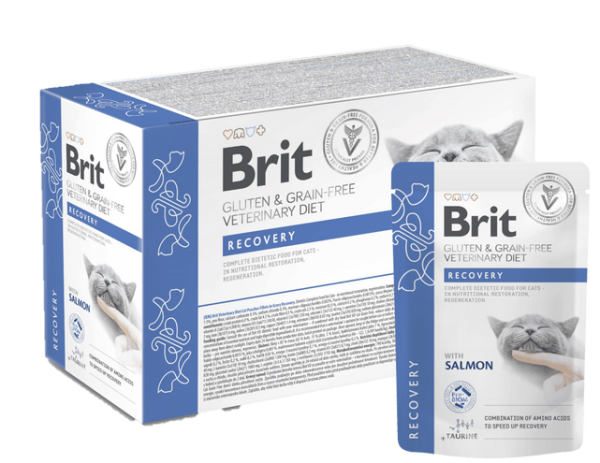 Brit Pa Grurë dhe Pa Gluten VD Pako filletash në Sos për Rikuperim 12x 85 g