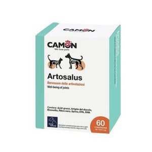ARTOSALUS 60 tableta