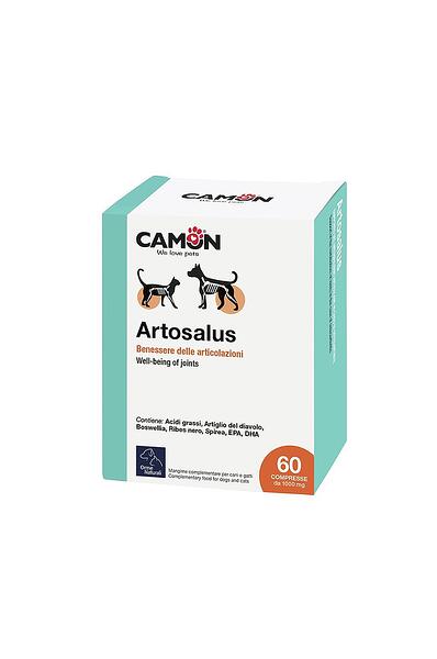 ARTOSALUS 60 tableta