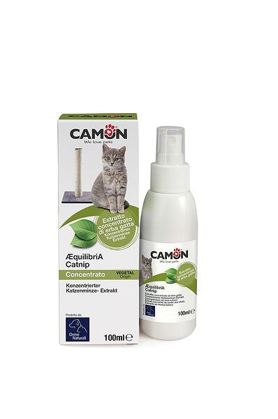 EKSTRAKT I KONCENTRUAR I MINTËS SË MACES 100 ML