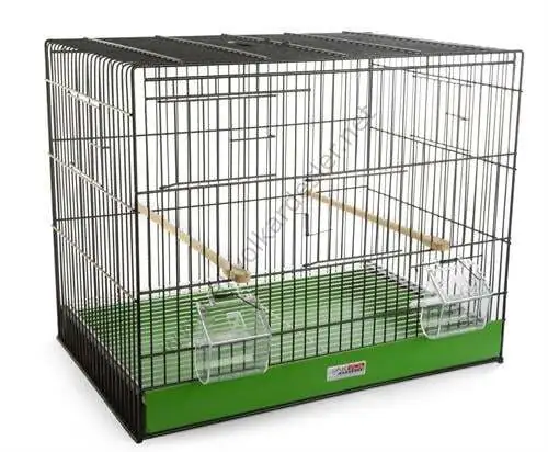 Kafazi Profesionale Akyol 50 cm E Zezë e Gjelbër