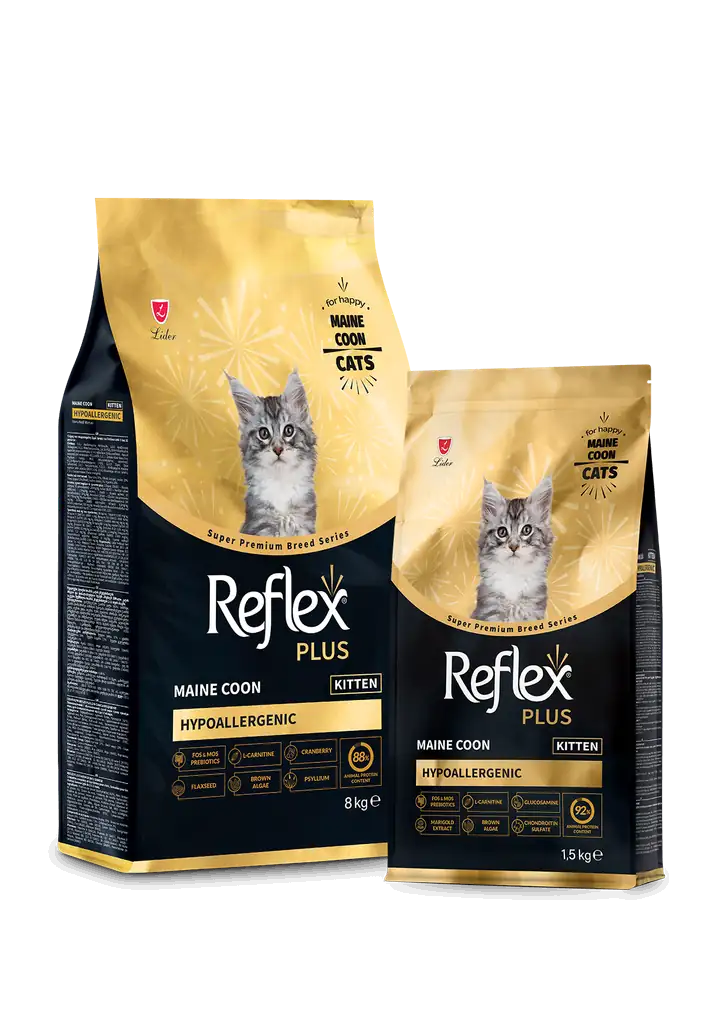Reflex Plus Maine Coon Ushqim për Këlyshë 1.5 KG