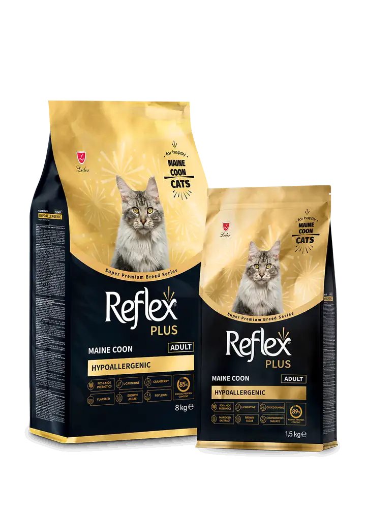 Reflex Plus Maine Coon Ushqim për Maca të Rritur 1.5 KG