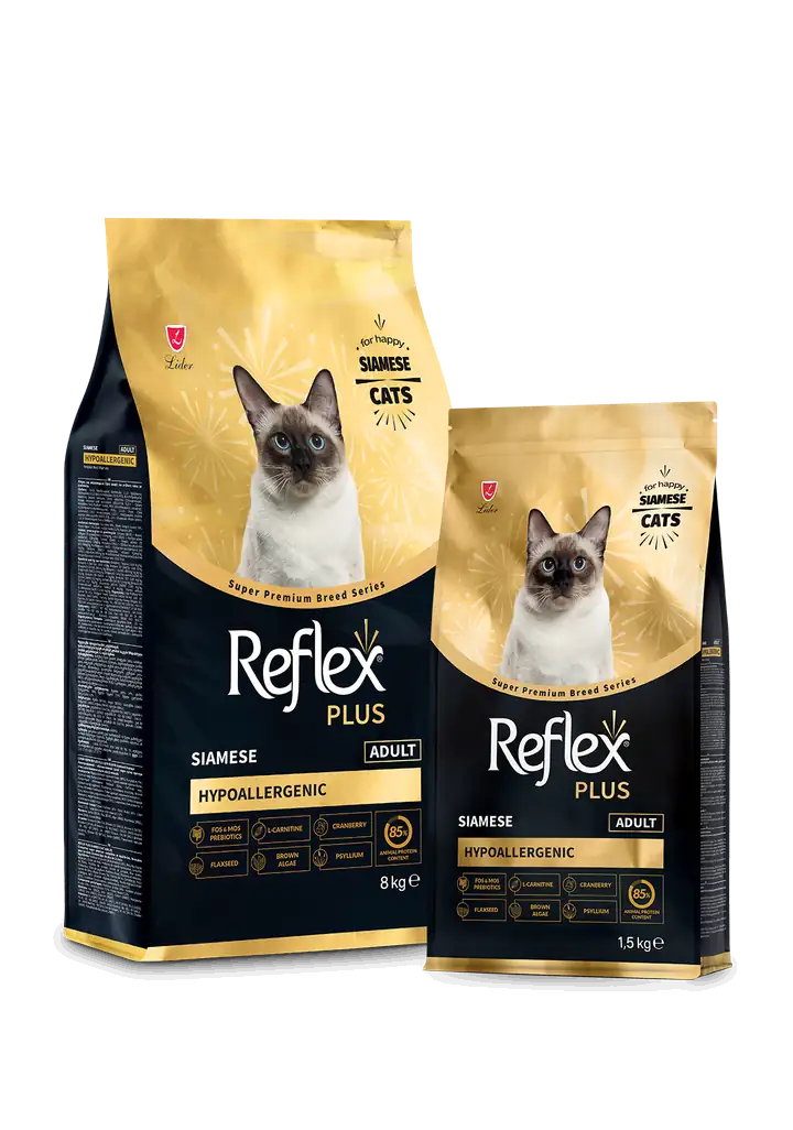 Reflex Plus Siamese Ushqim për Maca të Rritur 1.5 KG