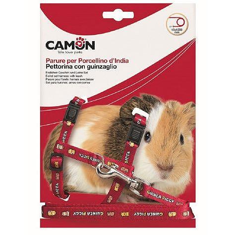 Set për gjinj të vogla*10×1200