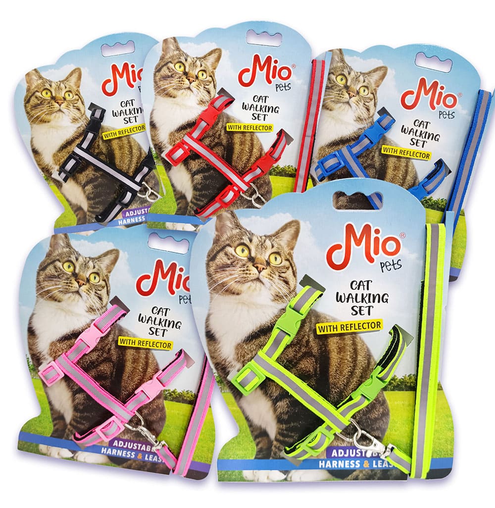 Mio Qafore dhe Gjoksore