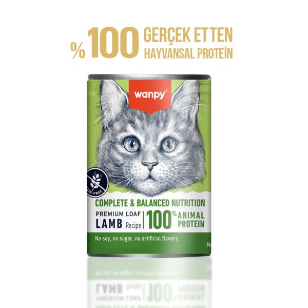 Wanpy Konserve Kedi me Qengj 375gr
