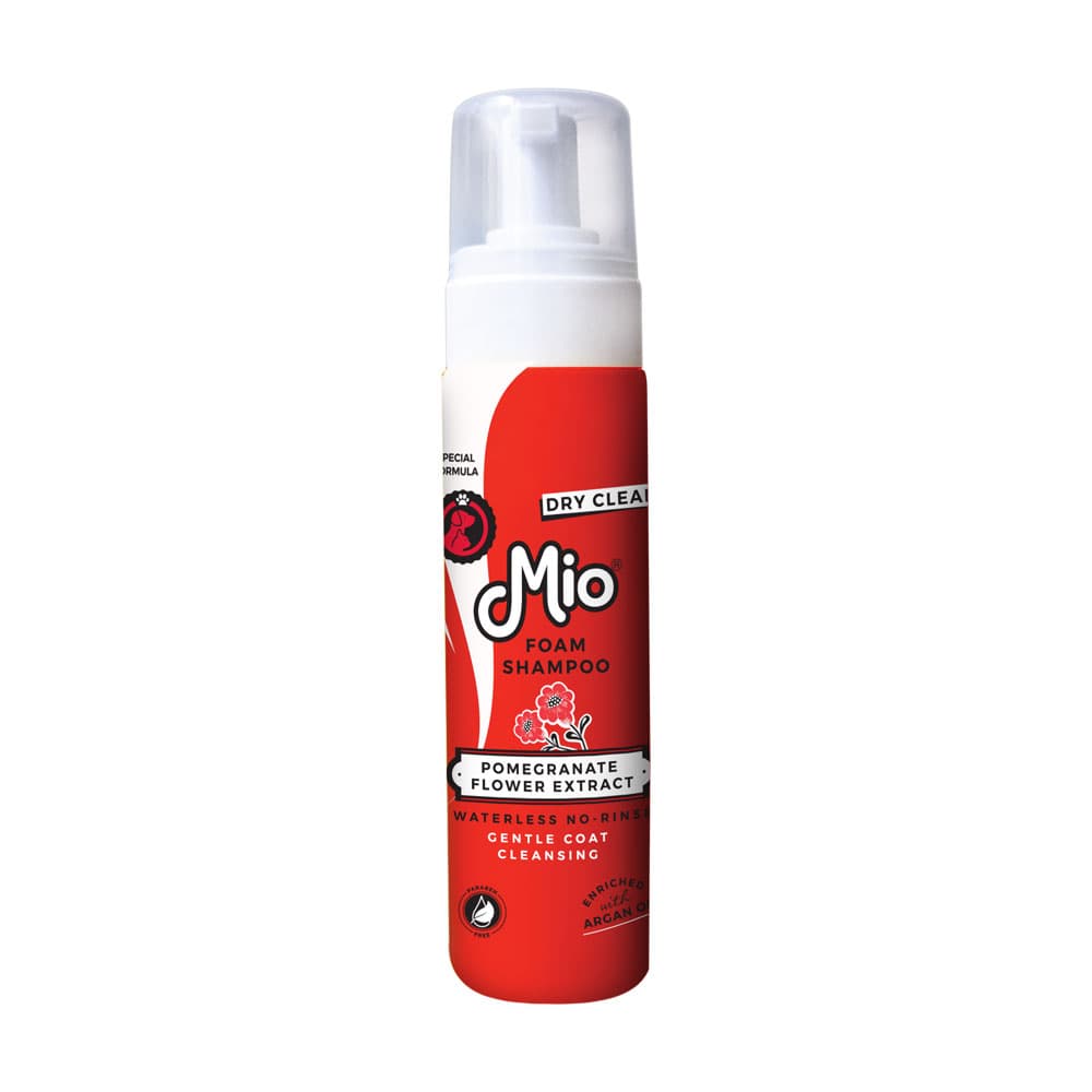 Shampo për Foam Mio - Daisy
