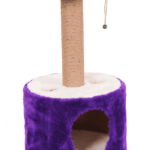 Roll – Vjollcë