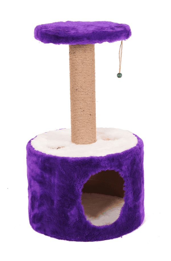 Roll – Vjollcë