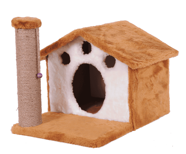 Home – Kafe