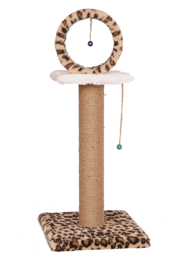 Circle – Leopard