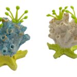 Dekor per aquarium